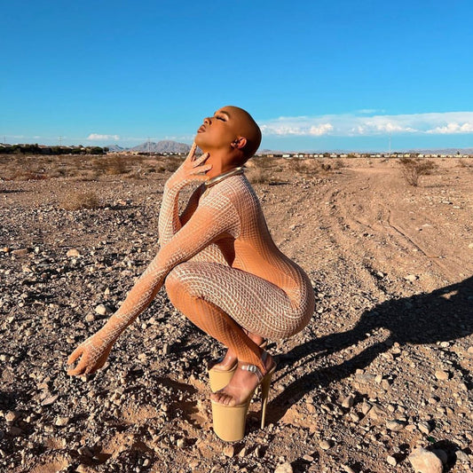 Pleaser Flamingo 808 - Kinky-shoes