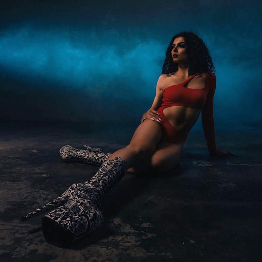 Pleaser Flamingo 1050SP - Kinky-shoes