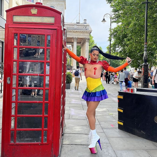 Pleaser Flamingo 1020HG - Kinky-shoes