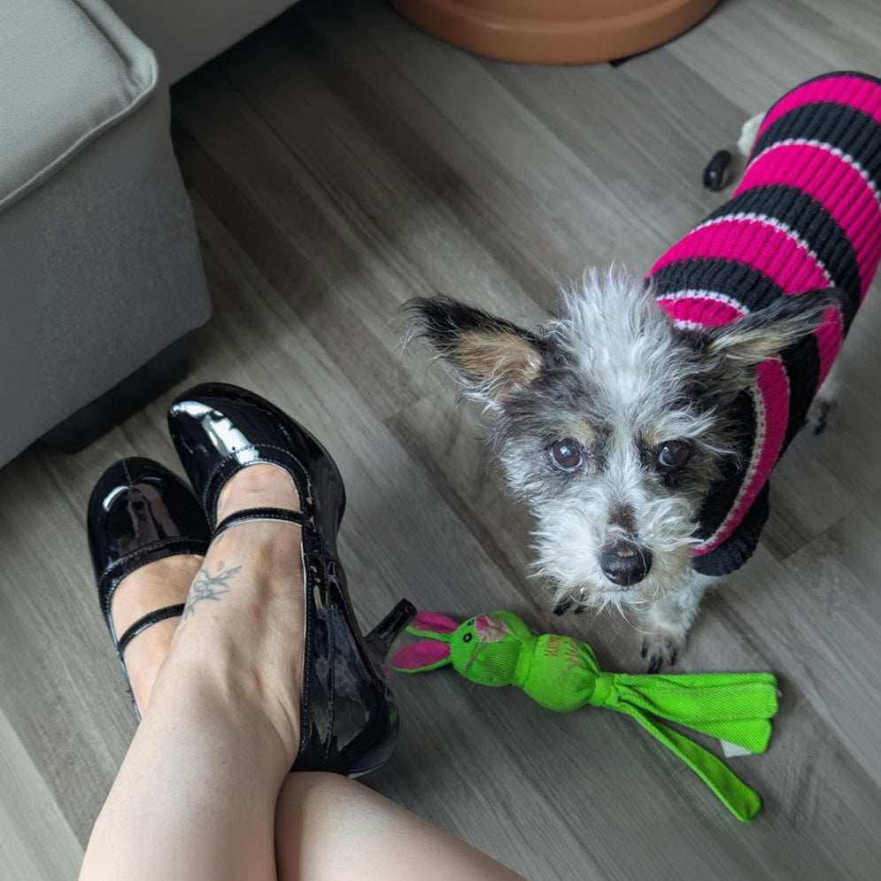 Pin Up Couture Cutiepie 02