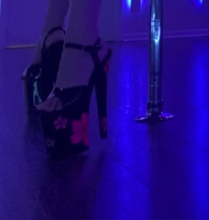 Pleaser Xtreme 809HB