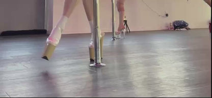 Pleaser Flamingo 808